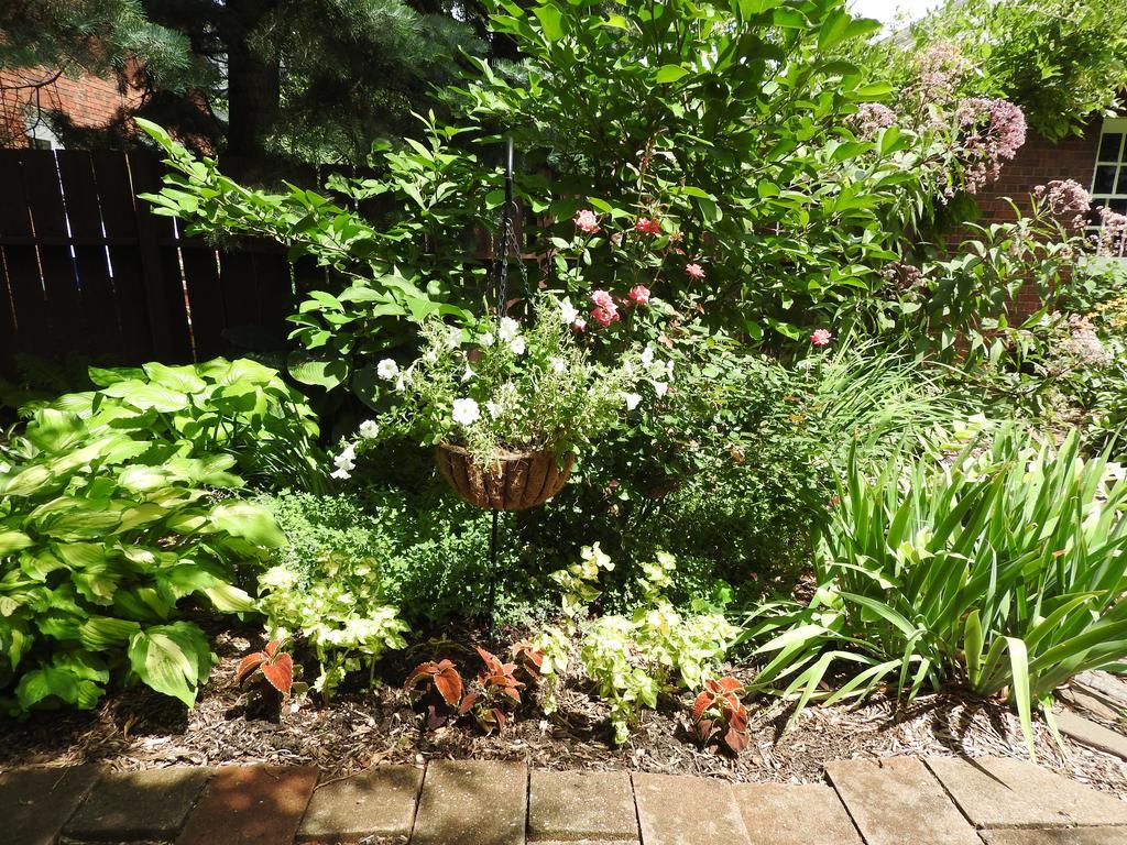 Champaign Garden Inn Bagian luar foto