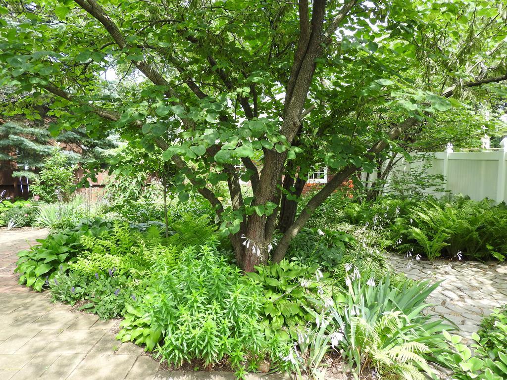 Champaign Garden Inn Bagian luar foto